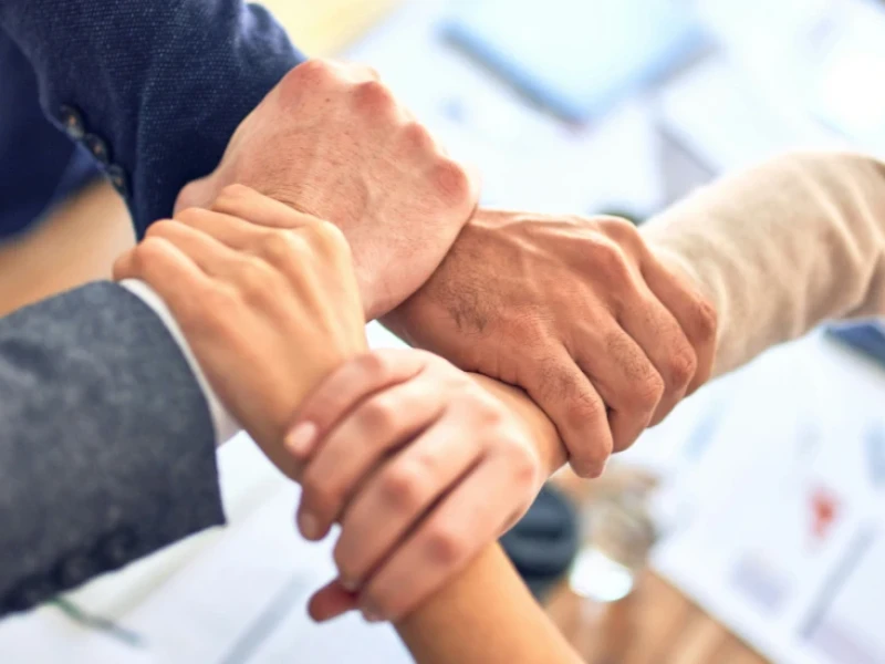 Success Stories at Sandown