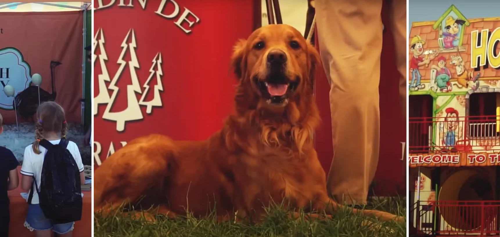 Join us at The Newbury Show, 16-17 September 2023