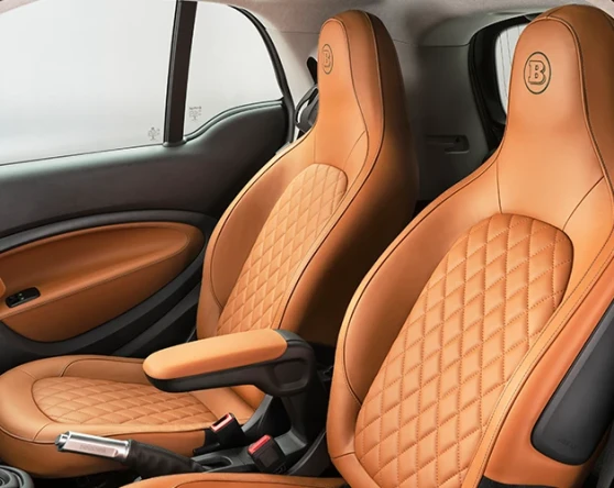 smart EQ fortwo coupé Racing Green Edition. Image 3