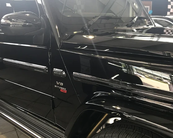 THE WORLD OF SANDOWN BRABUS Image 6