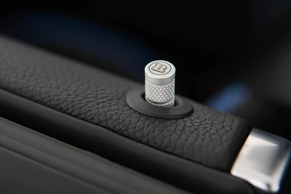 ALUMINIUM DOOR-LOCK PINS