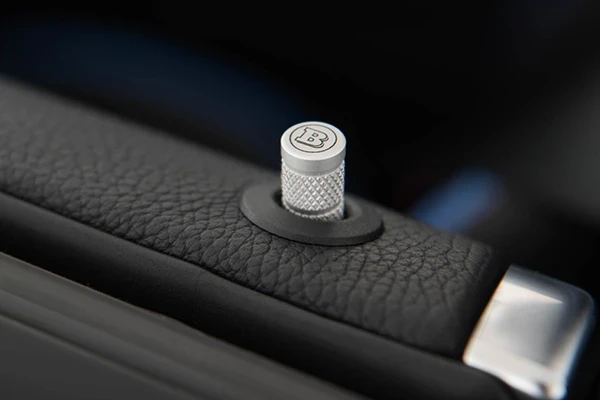 ALUMINIUM DOOR-LOCK PINS