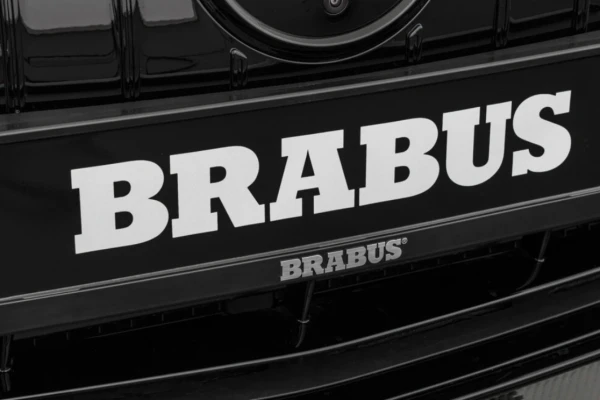 LICENSE PLATE HOLDER