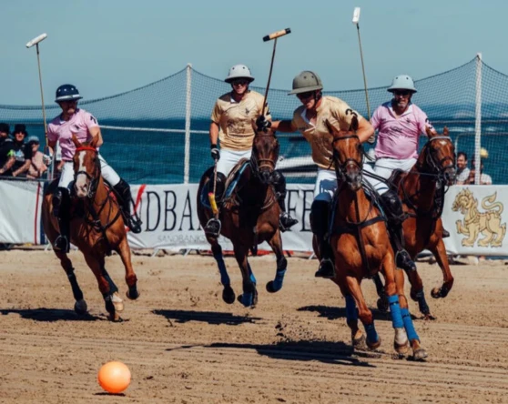 Mercedes-Benz of Poole Drives into Sandpolo 2025 as Official Partner. Image 3