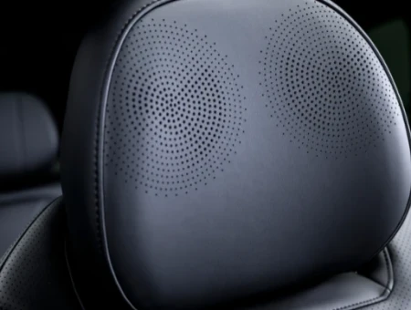 Sony® surround sound system + Headrest Speakers