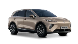 MG MGS6