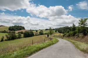 UK Government Eases ZEV Mandate Rules: Plug-in Hybrids now included
